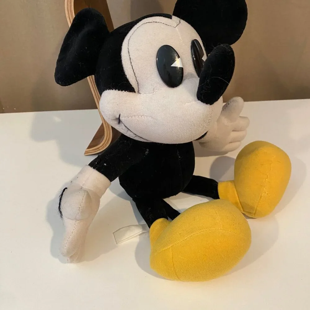 Disney bring home